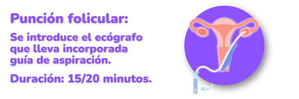te-pagan-por-donar-ovulos-Valencia