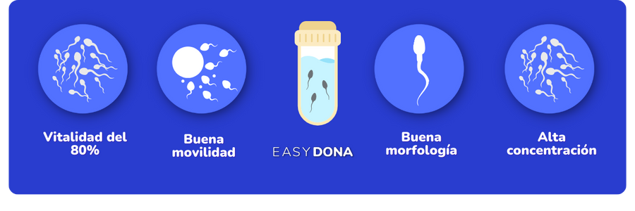 calidad-del-semen-easydona (1) calidad-del-semen-easydona (1)