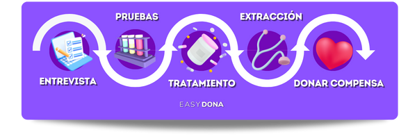 como-donar-ovulos-proceso