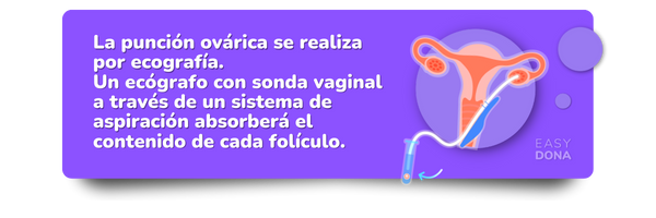 pagan-por-donar-ovulos-extraccion-infografia pagan-por-donar-ovulos-extraccion-infografia