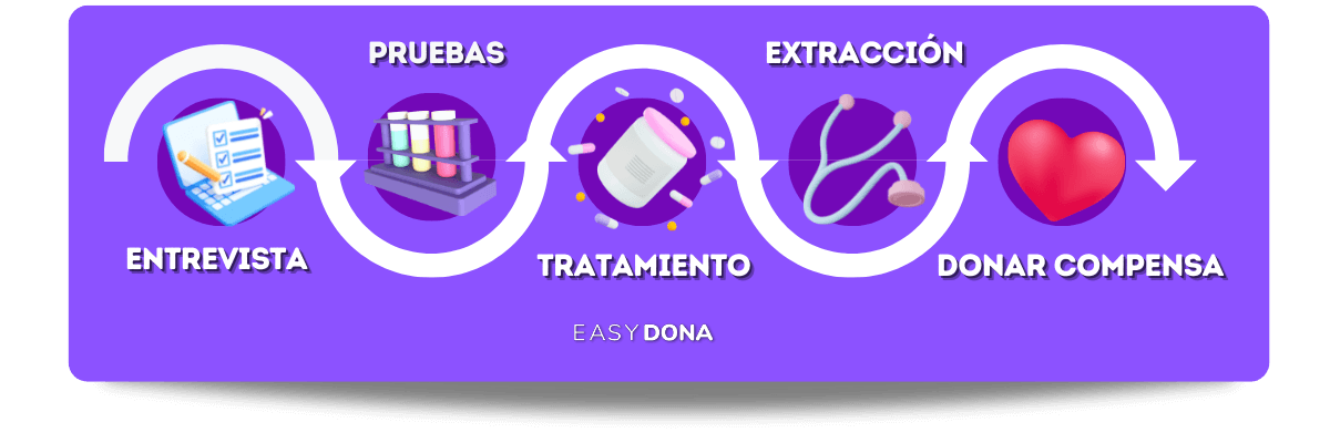 proceso-donacion-ovulos-huelva
