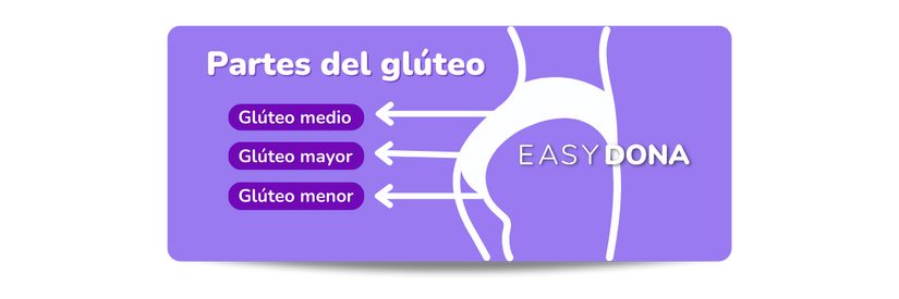 ejercicios-para-gluteos-partes-del-gluteo