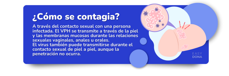 como-se-contagia-el-papiloma-humano como-se-contagia-el-papiloma-humano