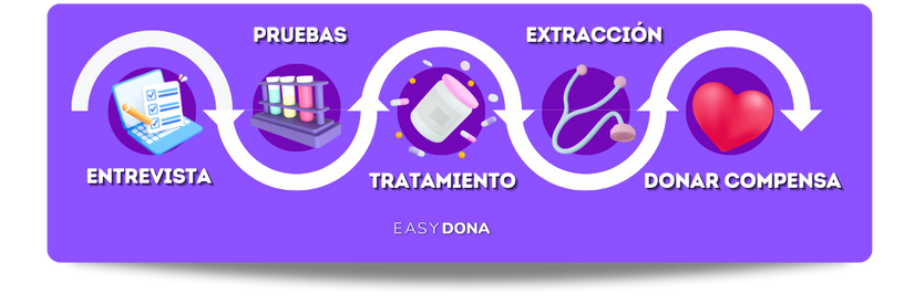donación-de-óvulos-en-España-etapas-del-proceso-de-donacion