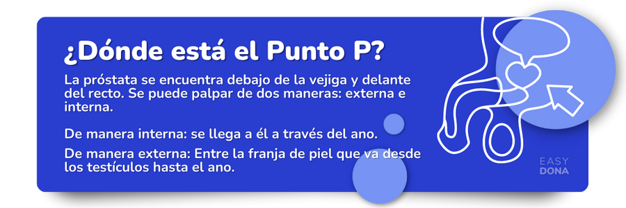 donde-esta-el-punto-p