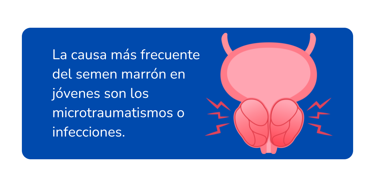 semen marron