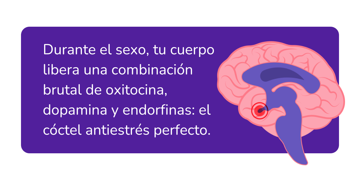 El sexo reduce el estrés (1)