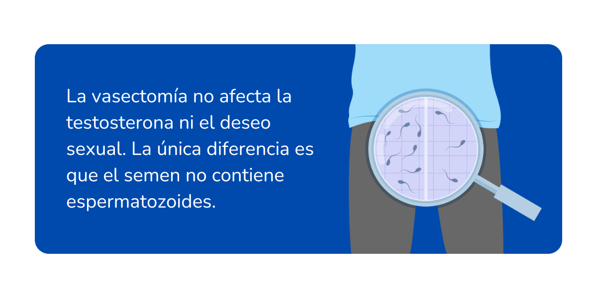 Reversión de la vasectomía (2)