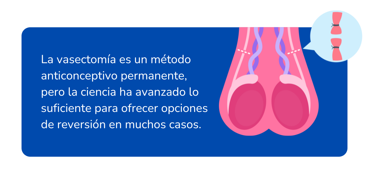 Reversión de la vasectomía