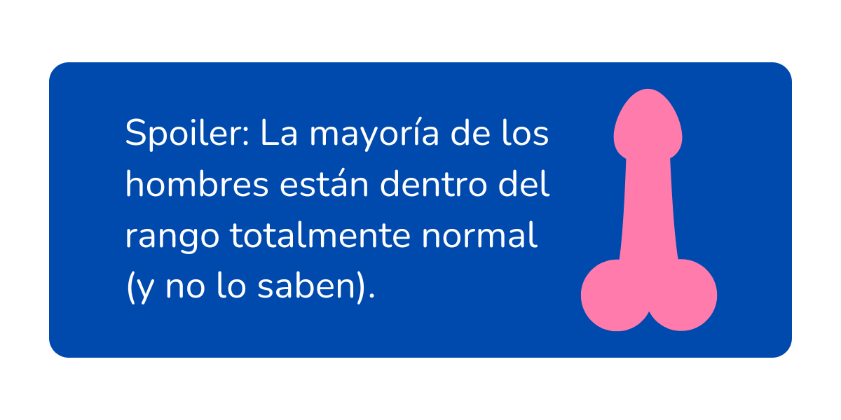 tamaño promedio del pene