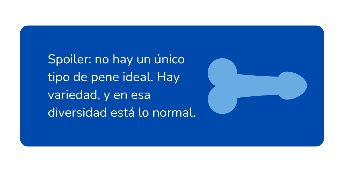 tipos de pene