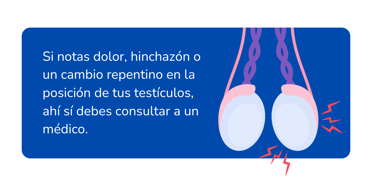 Es normal tener un testículo más bajo que el otro (2)
