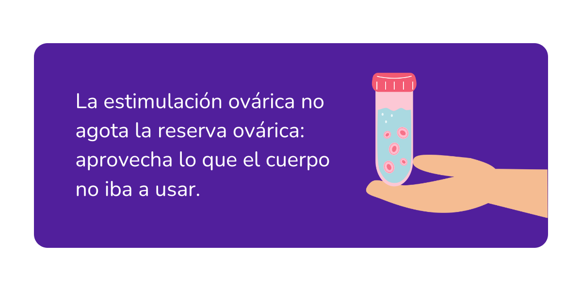 donacion ovulos y menopausia precoz (1)