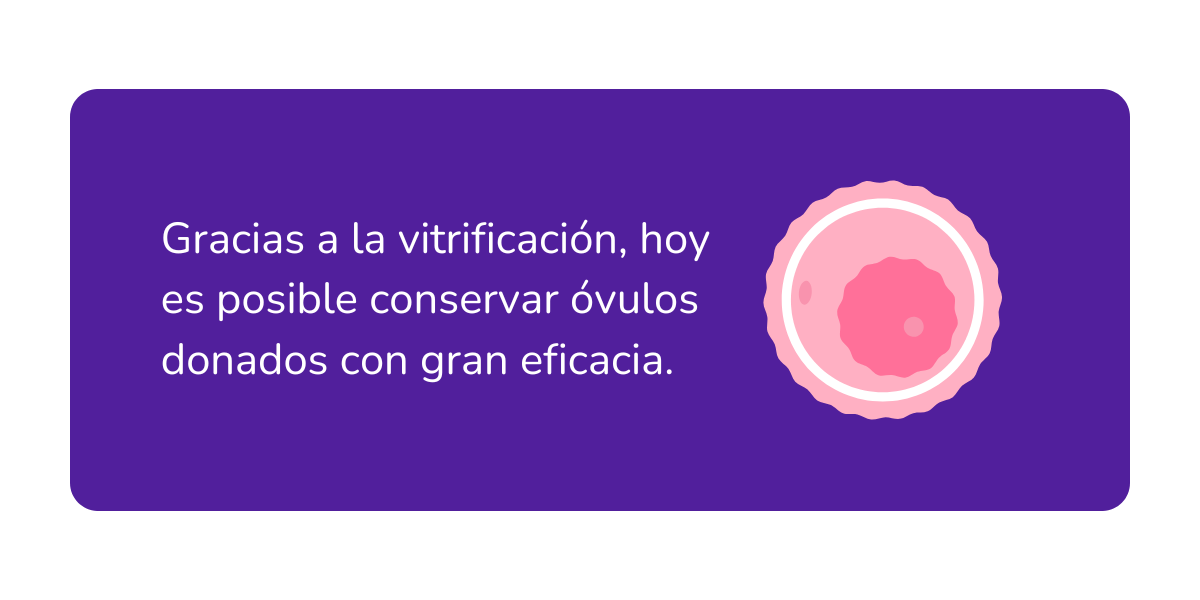 la historia de la donación de óvulos (2)