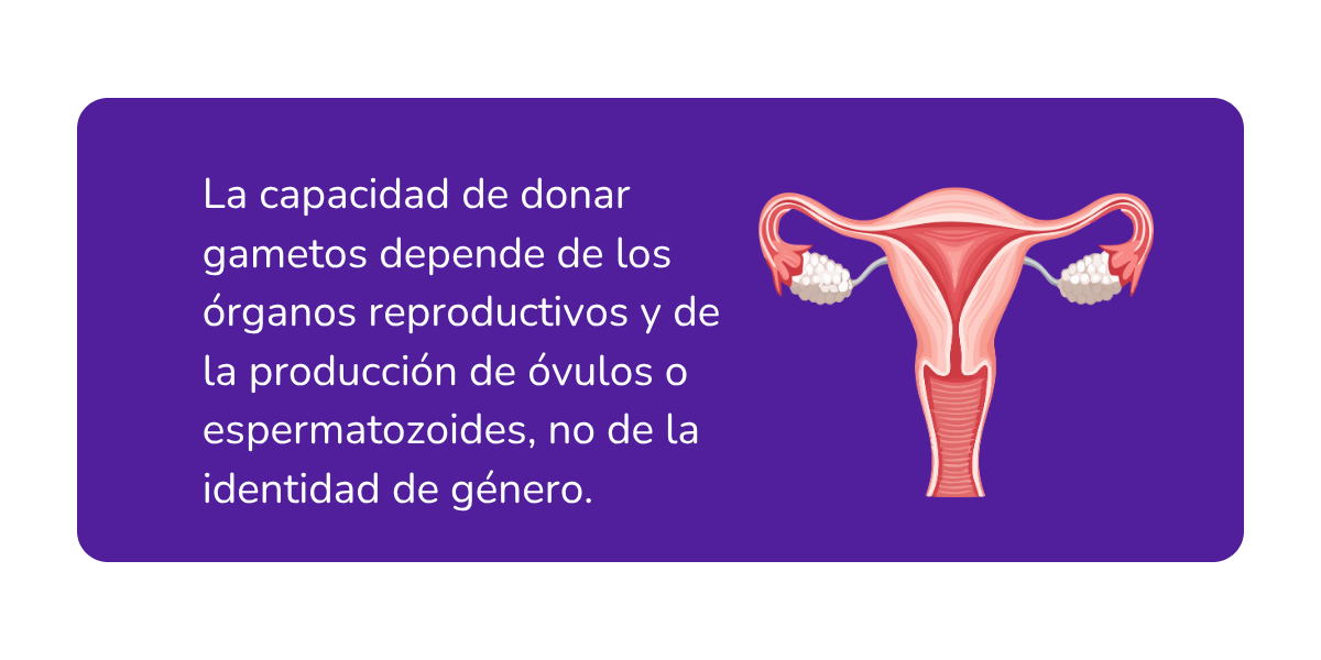 mujeres trans donar ovulos mujeres trans donar ovulos