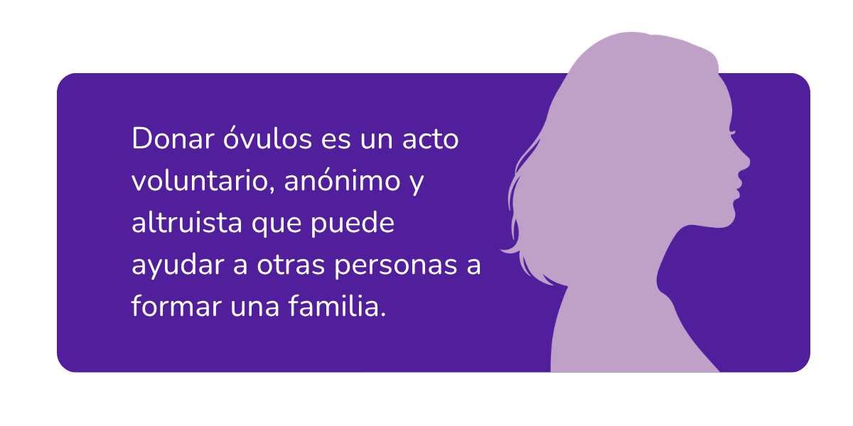 proceso despues de donar óvulos proceso despues de donar óvulos